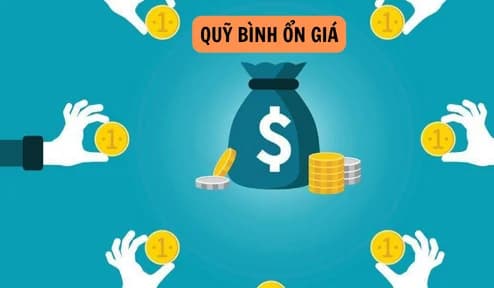 Báo cáo QBO tháng 8 năm 2026